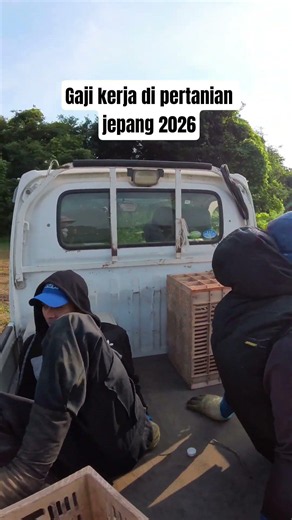gaji kerja di pertanian jepang 2026