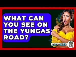What Can You See On The Yungas Road? - South America Travel Pros