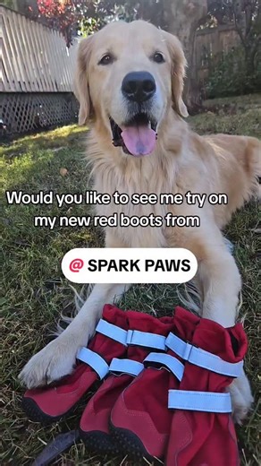 2.6K views · 98 reactions | Do you love my new red boots from...