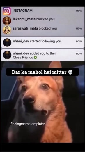Fielding set hai bhai ki 💀 II Comeback narak me hoga guys meme template #shorts #shortsvideo #viral
