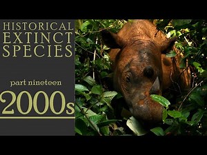 Historical Extinct Species #19 2000s