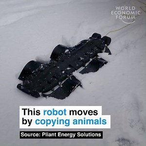 1.8M views · 6K shares | Amphibious autonomy. Learn more about advancements in robotics: https://wef.ch/2Csm5ld | World Economic Forum | Facebook