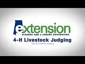 Tips for Livestock Judging