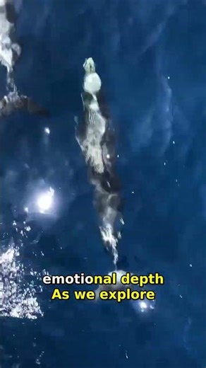Discover Dolphins: Secrets of Their Communication Skills