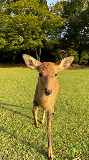 Caroline Zalog on Instagram: "bby"