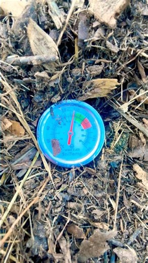 Using A Thermometer For Composting. #composting #compost #gardening #FarmerD