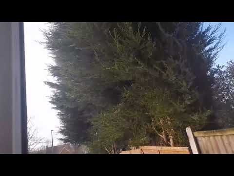 Super strong wind ASMR