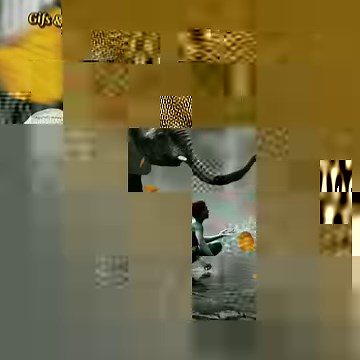 💕Don't Worry About A Thing💕 - Bob Marley | Gifs & Music