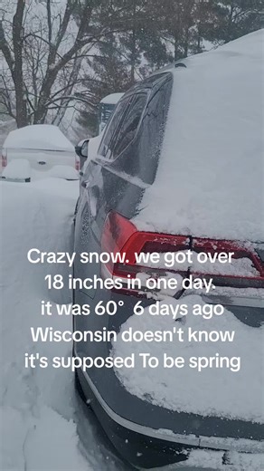 Blizzard 2026. I haven't seen snow like this in 8 years. Wisconsin is a rollercoaster of seasons. 6 days ago, it felt like summer and now. We had to dig out of almost 2 feet of snow. Restaurants, stores, and businesses closed for 2 days. Only two places that mostly stayed open were Walmart and KT (kwik trip). Half of the Kwik Trips closed for 12 hours or more, which is extremely rare. My store stayed open the entire Blizzard. So crazy 🤪 Highways were literally closed, and there was unplowed on 