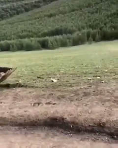 47K views · 159 reactions | Thanks for the help! Oh wait... | Dump Truck Loads | Facebook