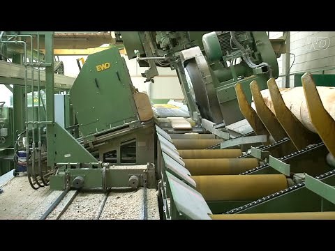 EWD Sägetechnik Blockbandsägetechnik Sägewerk Koddenbrock GmbH & Co. KG 2020