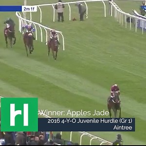 23K views · 612 reactions | As Apple’s Jade heads off to stud today, re-watch some of her best performances across an illustrious career  Comment your favourite Apple's Jade moment? ⬇️ | Horse Racing Ireland | Facebook