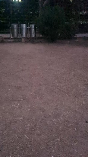 STATE IQ - JK on Instagram: "DOGRI HUMARI DAROHAR #duggarpradesh #dogriculture❤️ #motivation #dogram #duggars"