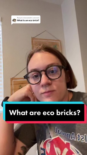 What are Eco Bricks?