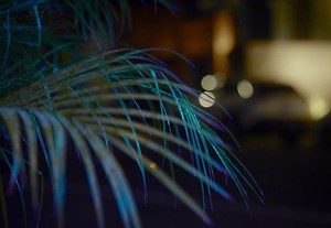 Kasie SM - Pensando en ti #LeftySM #leftysmporsiempre #rap #Estreno | Rap con Estilo