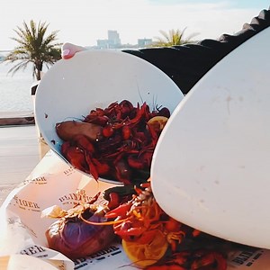 Open 7 days a week, with a side of dolphin watching | Harrah's Gulf Coast