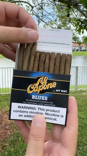 Al Capone Blues Cigarillo ASMR #alcapone #cigarillo #cigarlife #cigarlovers #cigartime