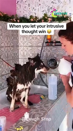 He jumped and missed the couch. Again. | Creative Company