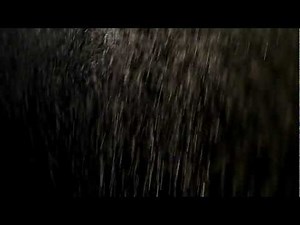 Dust Particles 02 - Free Footage - Full HD 1080p