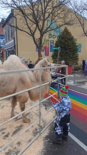 Miracle on Main Street in Milton is in full swing! Visit Main Street from 1 - 5pm today to join in on the fun ❄️ | Downtown Milton