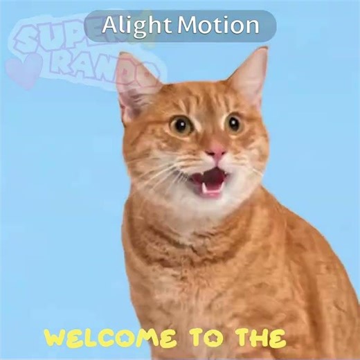 Failboat’s cat ai is now called cyber cat I guess￼