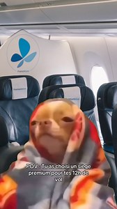 Avez-vous déjà testé nos sièges premium ? 💆‍♀️ | French bee