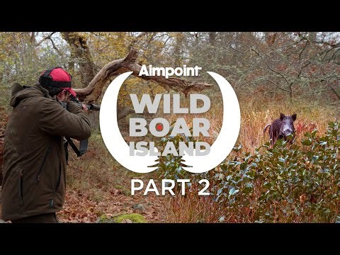 WILD BOAR ISLAND - PART 2 - DRIVEN HUNT