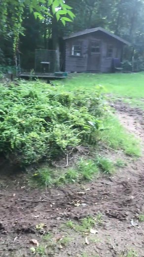 our “ race track “ in Belgium .. | Bart Bellon