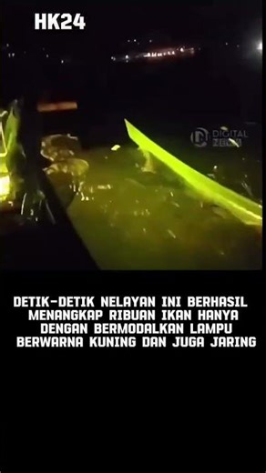 catching fish using only a yellow light
