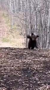 15M views · 61K reactions | Proton Globe Johnny on Reels | Facebook