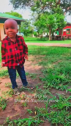 Mikumi National park: Tanzania's Hidden Gem Awaits! Mikumi National Park: Tanzania's 4th largest park (3,230 sq km) boasts a rich history dating back to 1964, when it was established as a game reserve. Today, it's a haven for diverse wildlife, including: Big Game: Lions, elephants, zebras, giraffes, buffaloes, wildebeestand so Many More: From crocodiles to primates, Mikumi offers a vibrant display of African wildlife. 👉🏼Why Mikumi? The Allure for Local & International Tourists: Accessibility: 