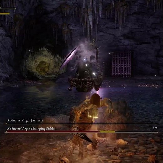 Throwing Big Rocks at the Abductor Virgin Duo #eldenring