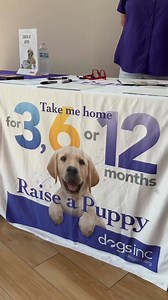 If this video made you smile, just imagine how rewarding it could be to raise one of these adorable pups yourself! When you become a volunteer puppy raiser, you can take home an adorable puppy for 3, 6, or 12 months. Join us for our next puppy-raising info session on February 15th, when we’ll share the ins and outs of raising a puppy for Dogs Inc. Register today at https://survey.alchemer.com/s3/7794997/Raise-a-Puppy-Change-Your-Life-February-15th-2025 #dogsinc #guidedogs #servicedogs | Dogs Inc