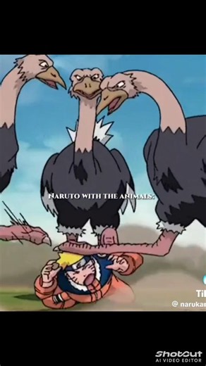 Naruto with animals🤣