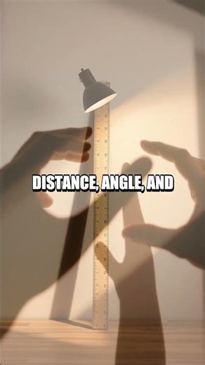 Shadows in Motion: A Home Light Lab