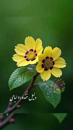 ‎🕊️ Surah Al-Fātihah | The Opening of Faith & Mercy 🌟 | Mesmerizing Recitation by Egzon Ibrahimi