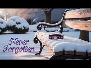 Songs of Remembrance | Healing for Pet Owners in Grief