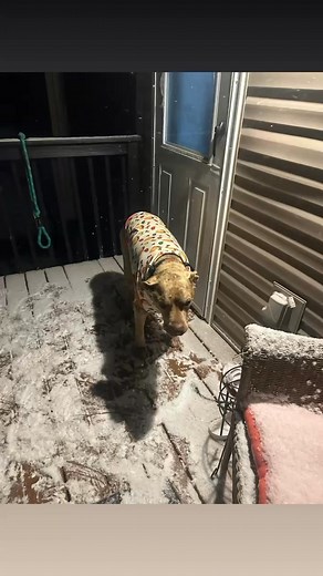 Karen Geier on Reels | Facebook