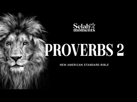 The Holy Bible - Proverbs 2 | NASB Audio Bible #selahmoments #audiobible #NASB