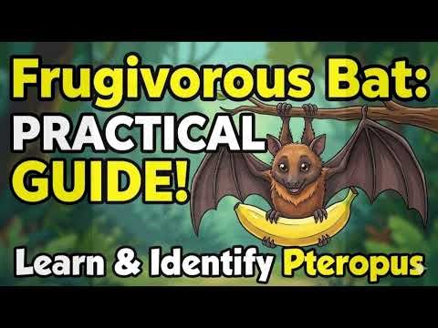 Identification of Frugivorous Bat (Pteropus sp) | Zoology UG Practical | EchoFlowia Educational