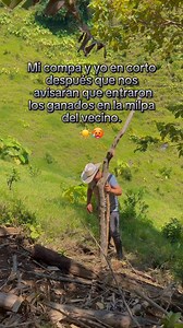 🤠 #rancho #ganados #cowboy | El vaquero del oeste