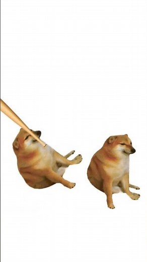 Bonk - Cheems Animation