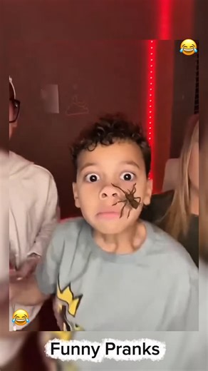 Unlimited laughter🌸😂 on Instagram: "Funny spider pranks😂😂 #spiderprank #funnypranks #funnyvideos"