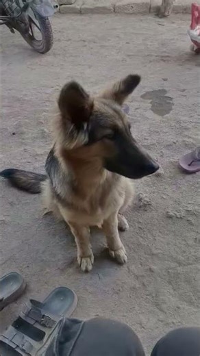 please file like karo share karo subscribe karo 🙏🏿🙏🏿🙏🏿🙏🏿😭🥹