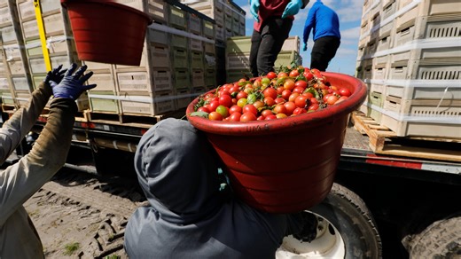 Collier sheriff's office seeks more resources for program aimed at migrant detention
