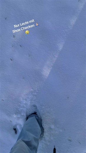 Nike Shox: Alles, was du über sie wissen musst