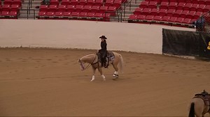 3.5K views · 251 reactions | Our mare, "TR DESIGNER GENES" sired by...