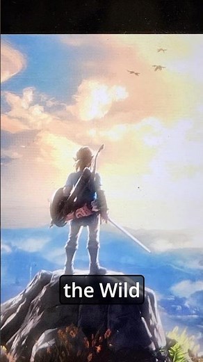Vantage vs Zelda BotW comparison #boardgames #zelda