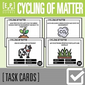 Cycling of Matter in Ecosystems Task Cards | Print and Digital Task Cards
