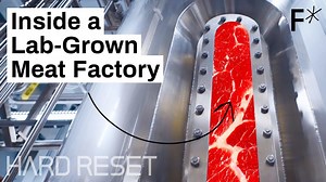 Large-scale, lab-grown meat: Step inside a cultivated meat factory | Hard Reset – Lifeboat News: The Blog